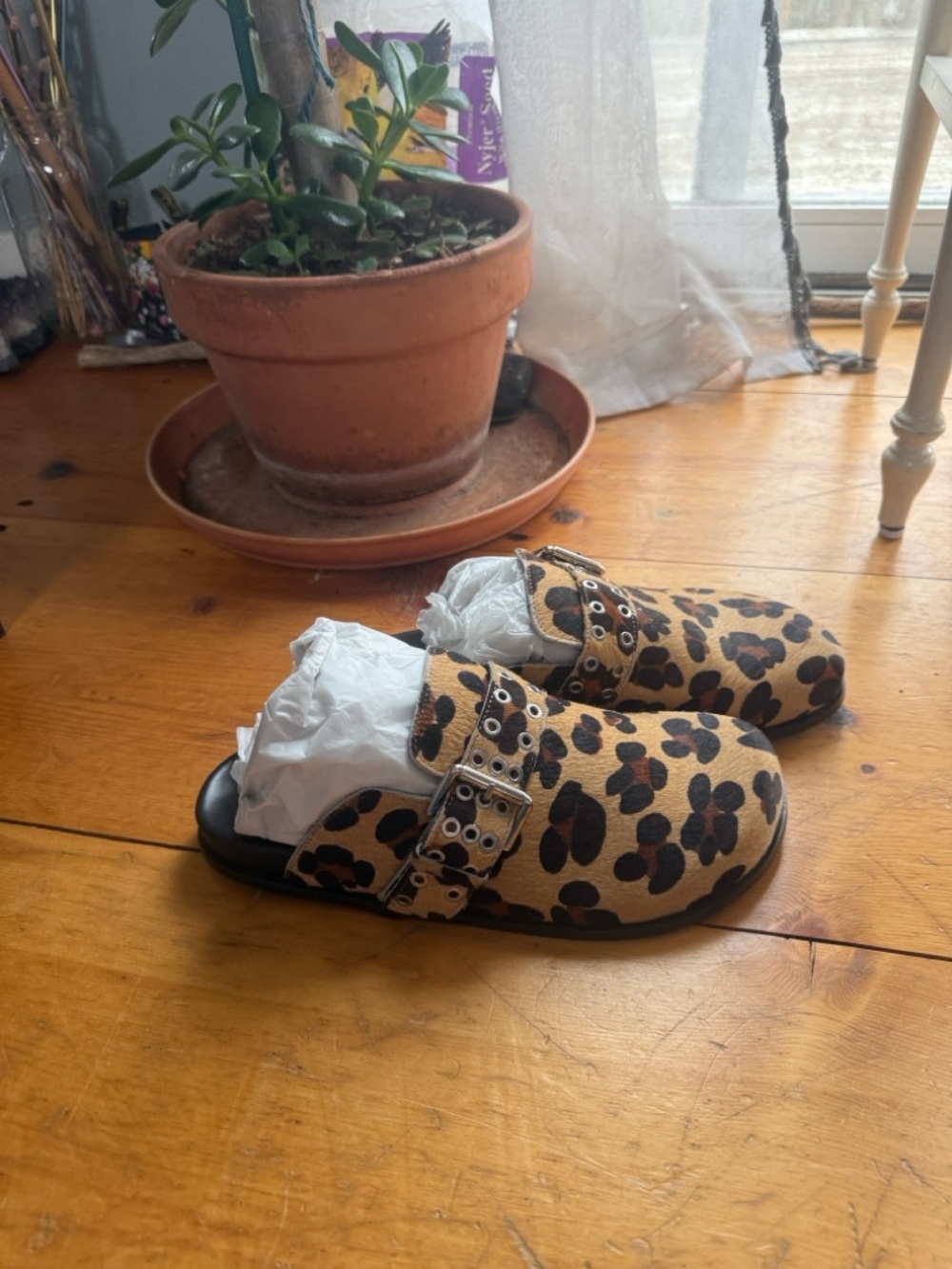 ALOHAS Leopard Print Buckle Mules in Tan and Black